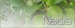Latest News
